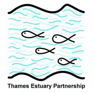 Thames Estatuary Partnership Thames Estatuary Partnership